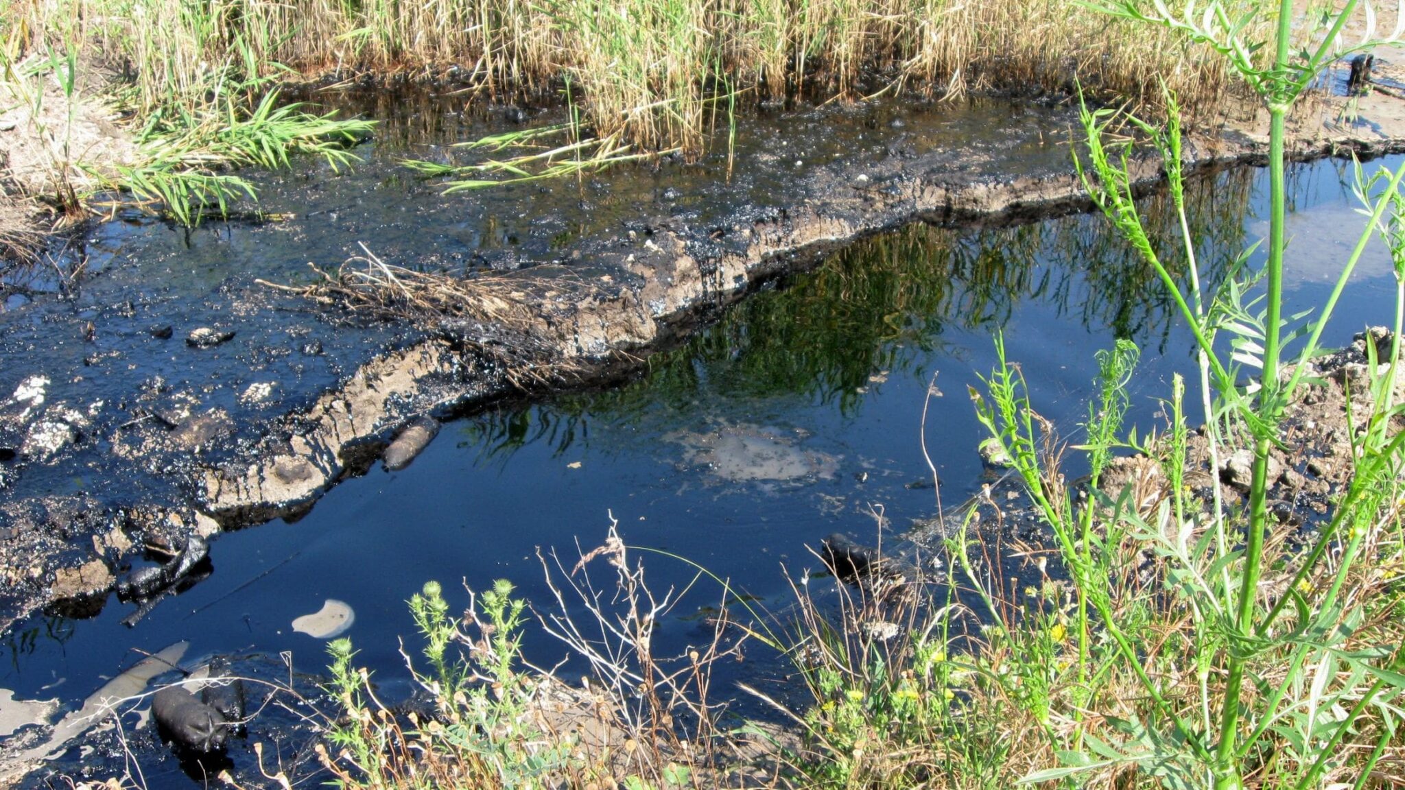 what-are-water-rights-definition-types-history-pheasant-energy