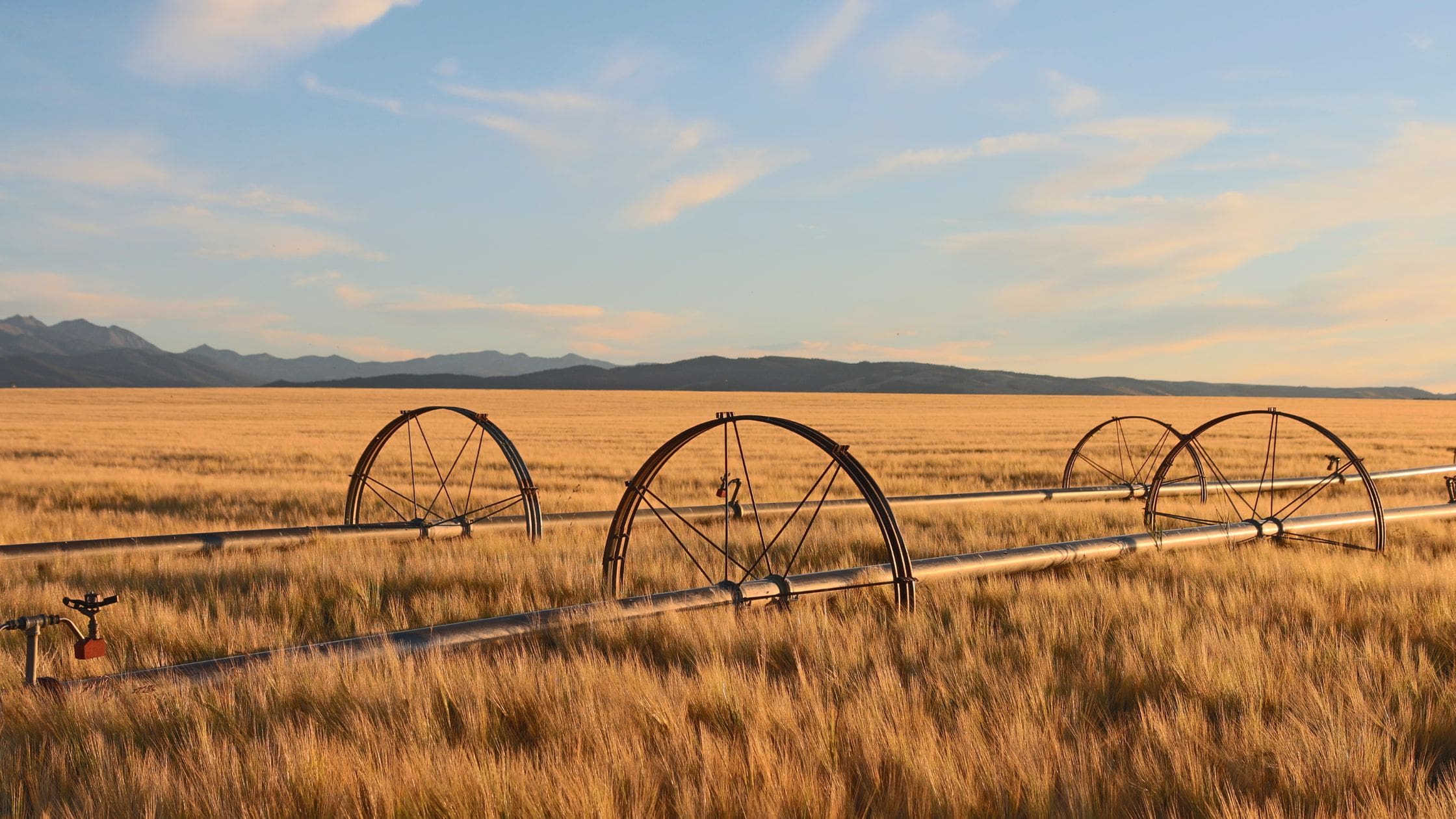 Montana Mineral Rights