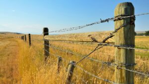 How to Find Out Who Owns Mineral Rights to a Property in Montana